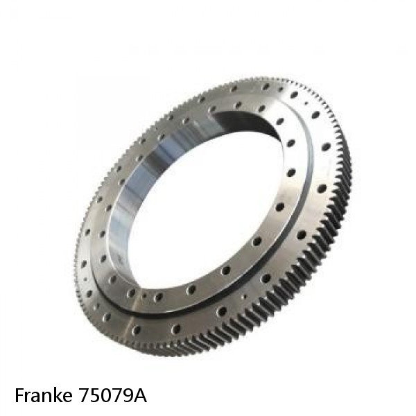 75079A Franke Slewing Ring Bearings