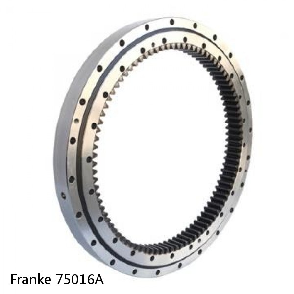 75016A Franke Slewing Ring Bearings