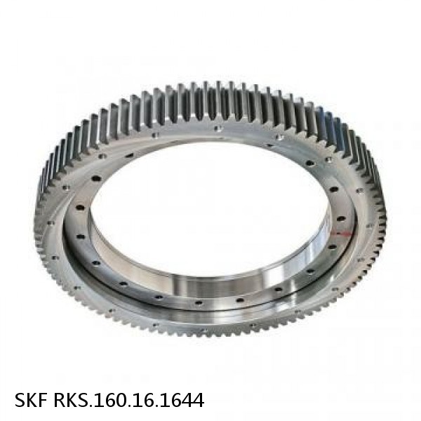 RKS.160.16.1644 SKF Slewing Ring Bearings