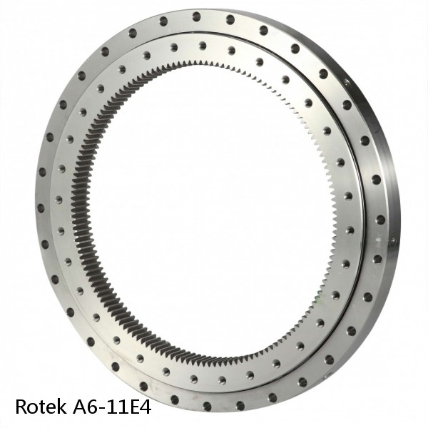A6-11E4 Rotek Slewing Ring Bearings #1 small image