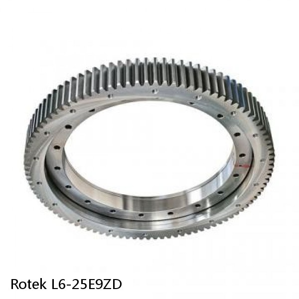 L6-25E9ZD Rotek Slewing Ring Bearings #1 small image