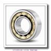 2.337 Inch | 59.362 Millimeter x 3.937 Inch | 100 Millimeter x 0.984 Inch | 25 Millimeter  LINK BELT M1309EX  Cylindrical Roller Bearings #2 small image