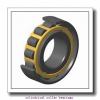1.772 Inch | 45 Millimeter x 3.937 Inch | 100 Millimeter x 0.984 Inch | 25 Millimeter  LINK BELT MA1309EXC1222  Cylindrical Roller Bearings