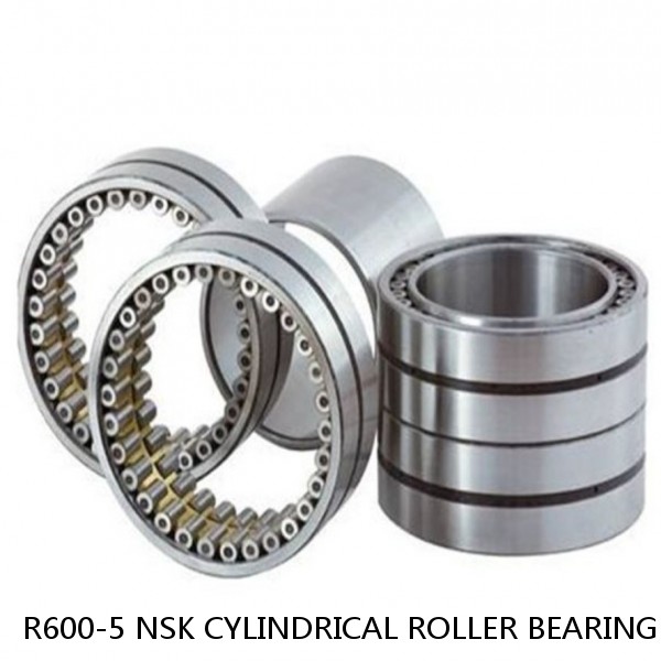 R600-5 NSK CYLINDRICAL ROLLER BEARING #1 image