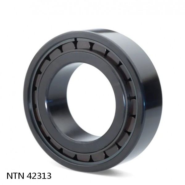 42313 NTN Cylindrical Roller Bearing #1 image