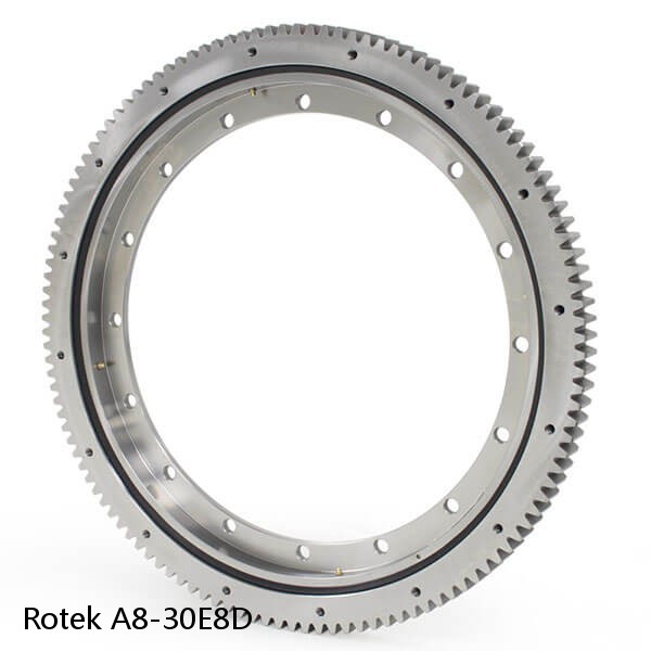 A8-30E8D Rotek Slewing Ring Bearings #1 image