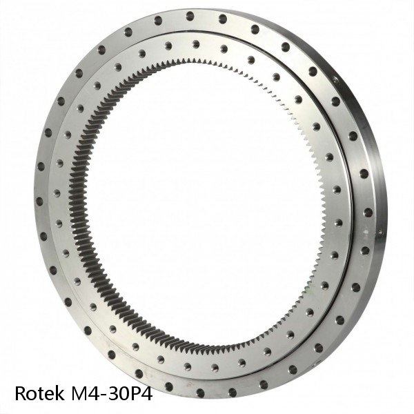 M4-30P4 Rotek Slewing Ring Bearings #1 image