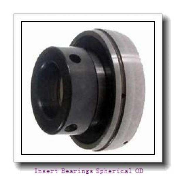 DODGE INS-GT-100-CR  Insert Bearings Spherical OD #3 image