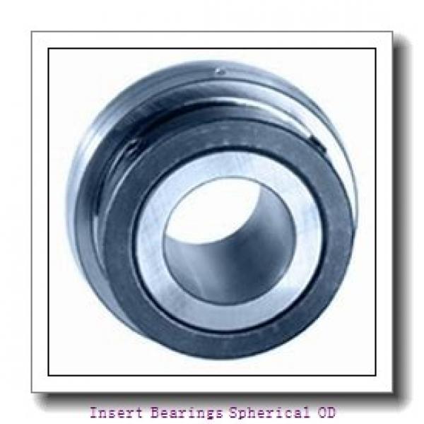 DODGE INS-GT-100-CR  Insert Bearings Spherical OD #1 image