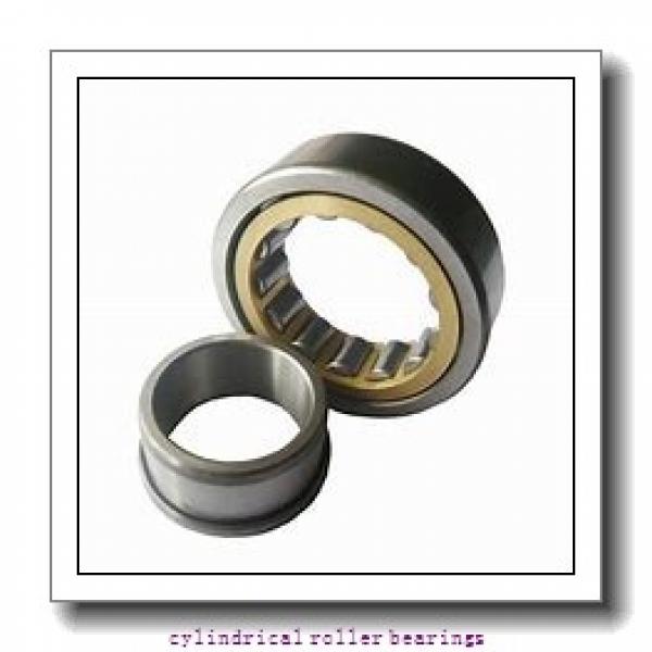1.181 Inch | 30 Millimeter x 2.378 Inch | 60.409 Millimeter x 0.906 Inch | 23 Millimeter  LINK BELT MU7306X  Cylindrical Roller Bearings #1 image