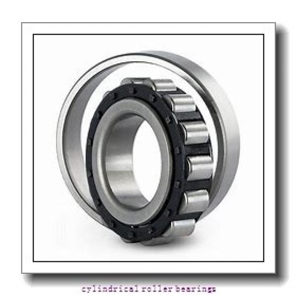 1.969 Inch | 50 Millimeter x 2.38 Inch | 60.46 Millimeter x 0.787 Inch | 20 Millimeter  LINK BELT MR1210  Cylindrical Roller Bearings #1 image