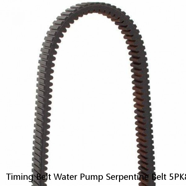 Timing Belt Water Pump Serpentine Belt 5PK875 for Subaru Impreza 2.2L 2.5L H4 #1 image